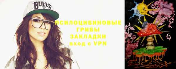 сатива Бронницы