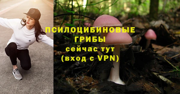 спиды Бугульма