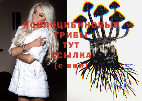 спиды Бугульма