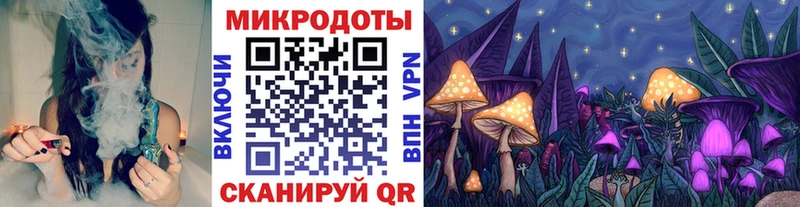 купить наркотики цена  Новосокольники  Галлюциногенные грибы мицелий 